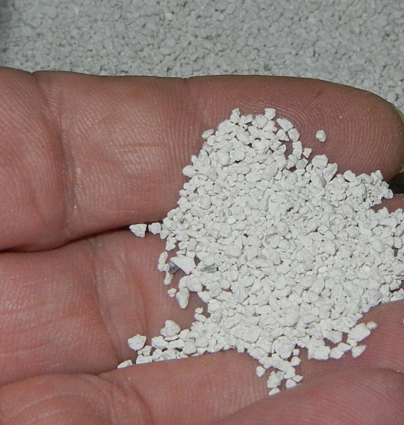 ALDI Süd hat Katzenstreu ins Sortiment aufgenommen