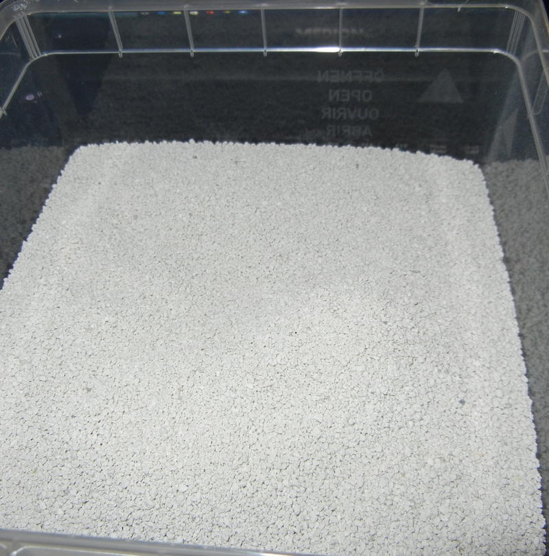 ALDI Süd hat Katzenstreu ins Sortiment aufgenommen