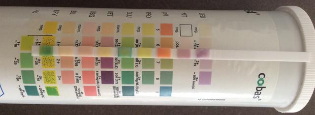 August Mamis 2016 Page 174 myNFP