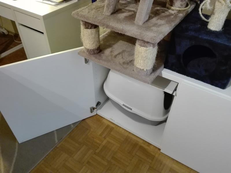 Katze pinkelt seit Monaten immer an die gleiche Stelle Katzen Forum