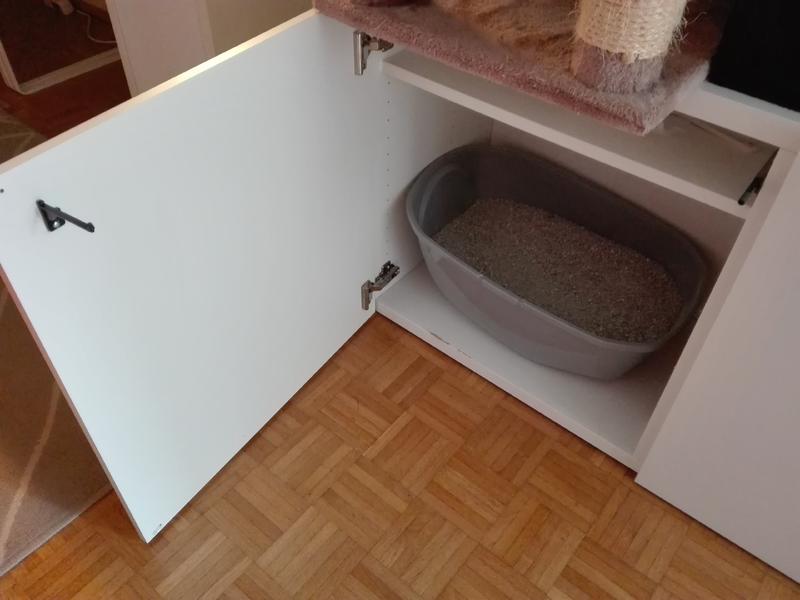Katze pinkelt seit Monaten immer an die gleiche Stelle Katzen Forum