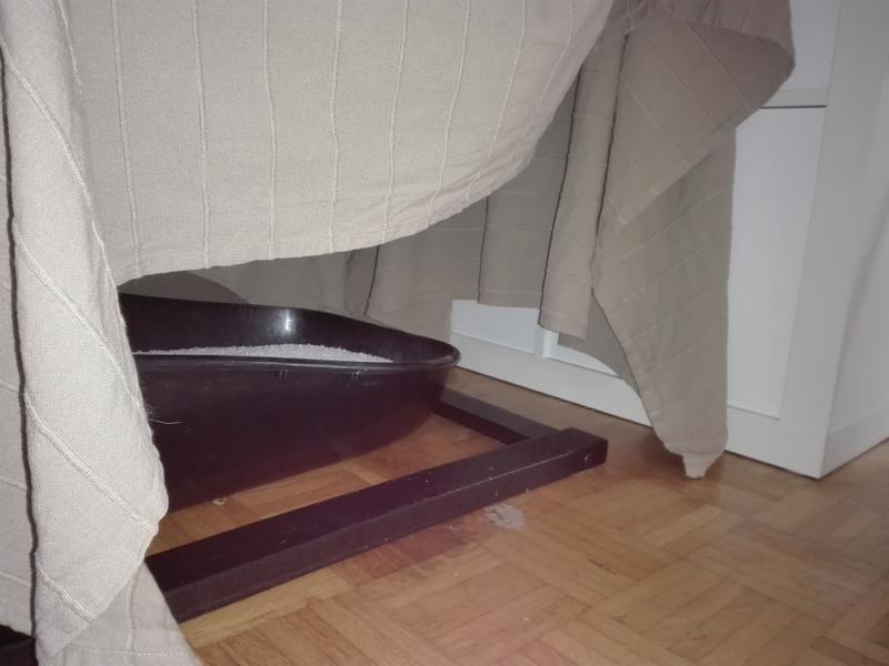 Katze pinkelt seit Monaten immer an die gleiche Stelle Katzen Forum