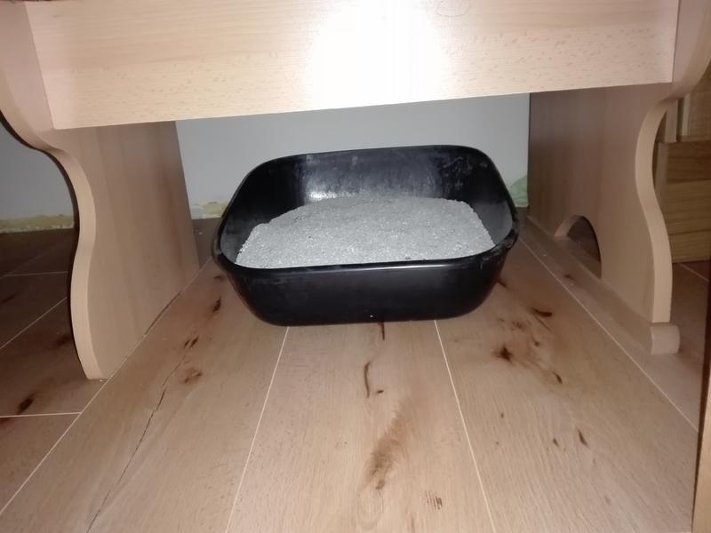 Katze pinkelt seit Monaten immer an die gleiche Stelle Katzen Forum