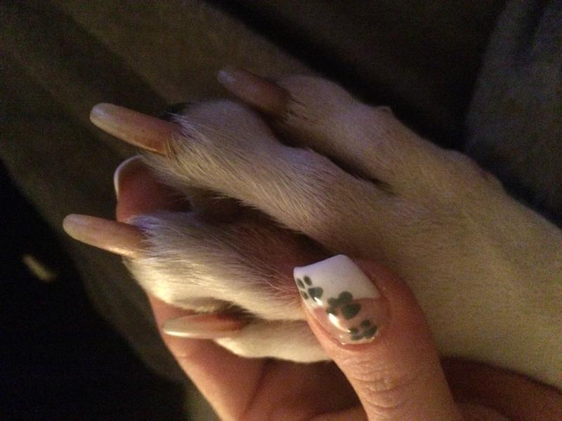 Ist das ein Zwischenzehenabszess? kampfschmuser.de