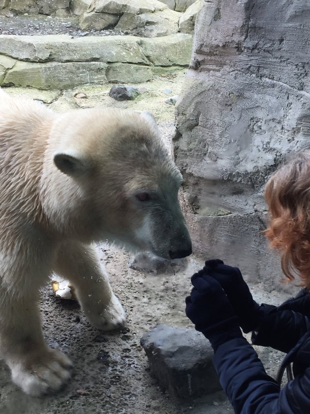 Forum Übersicht Zoo am Meer Bremerhaven » Die schöne Lili