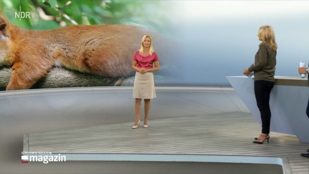 Harriet Heise Fernsehen Sendungen A Z
