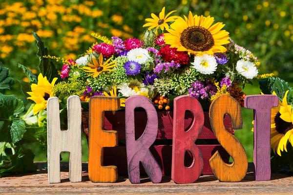 Forum Übersicht - Rund Um Die 4 Jahreszeiten » Der Goldene Herbst 2017 400_x_600_jpg
