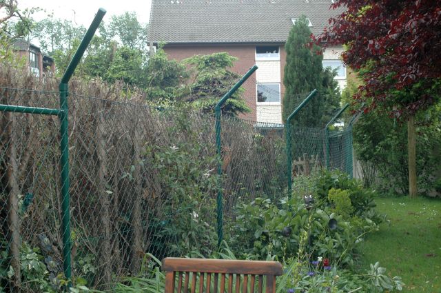 Garten katzensicher einzäunen begrenzter Freilauf Katzenforum