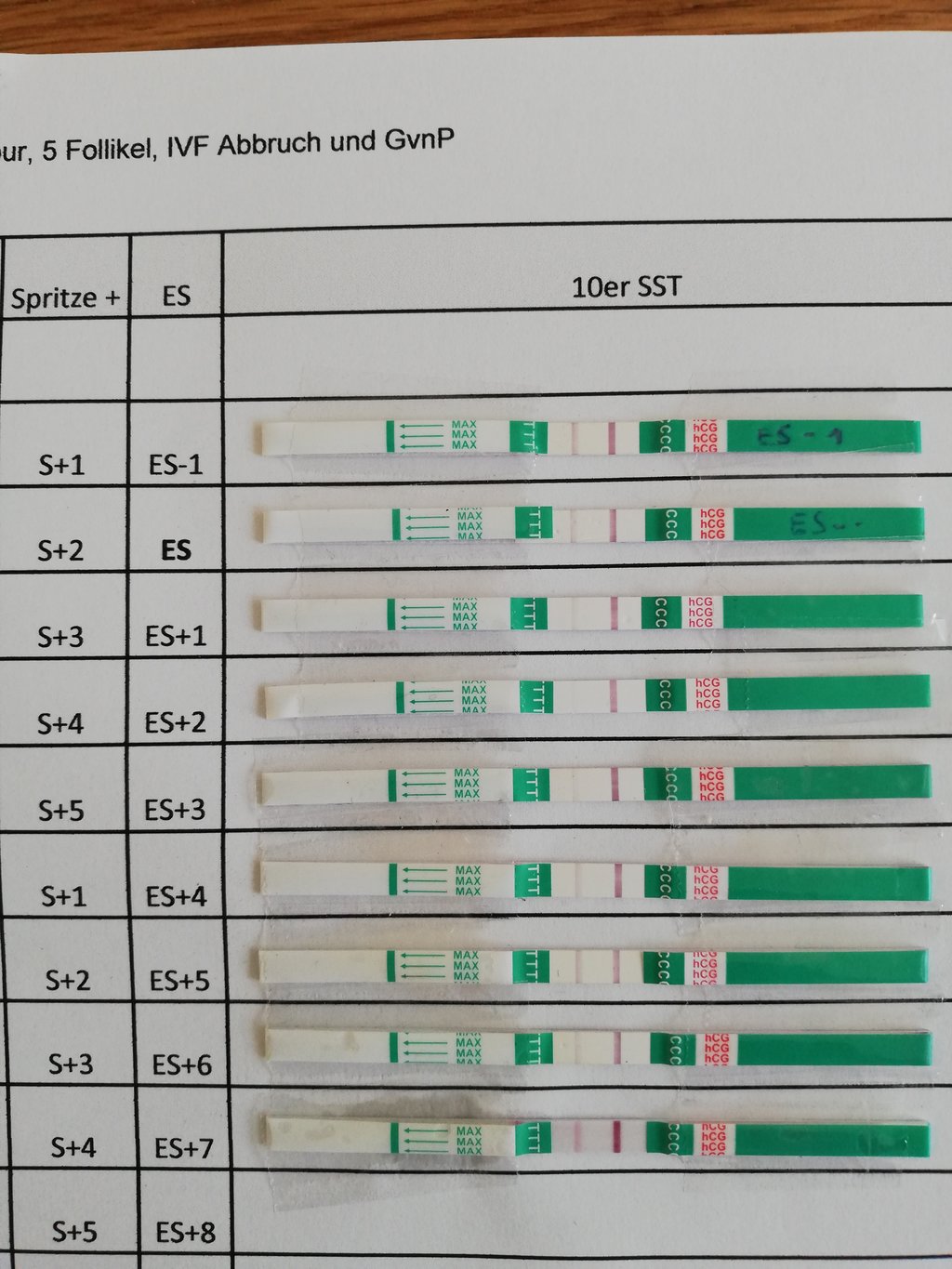 Hibbeln Ü40 Page 594 myNFP