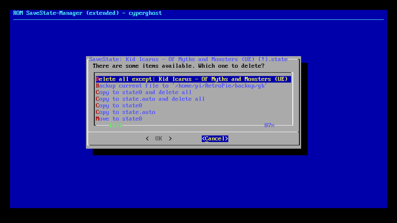 How to use retropie file manager pilotplus