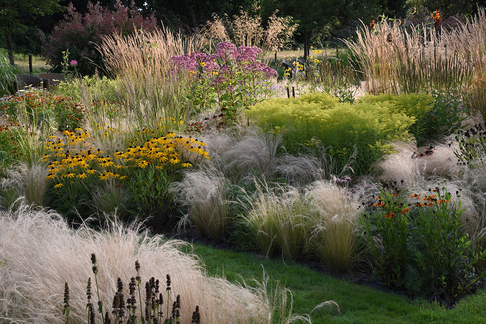 Wilde Wiesen gestalten Naturalistische Staudenbeete für den Garten