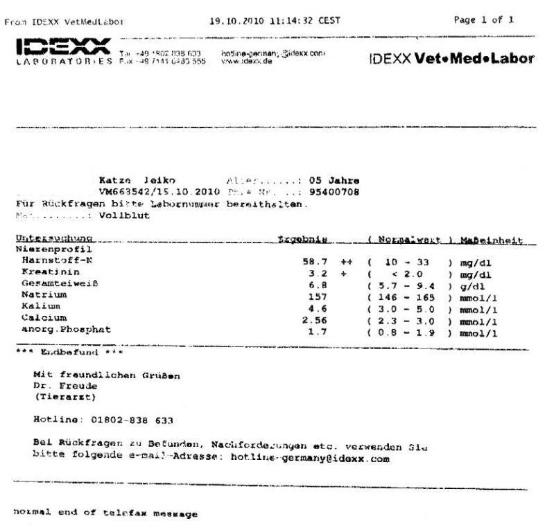 Kater Leiko, 5 Jahre alt, Kreatinin 5,2