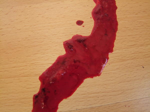 Kater spuckte Blut. Katzen Forum