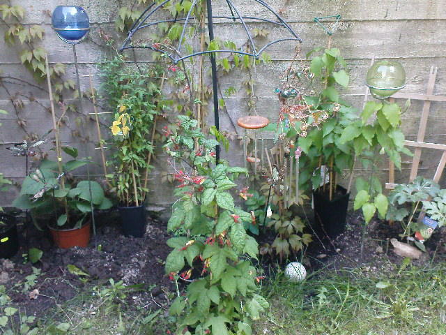 grünes Plauderstübchen Page 233 Mein schöner Garten Forum