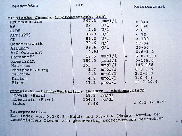 handicapkatzen.info Thema anzeigen Carlo trinkt vermehrt