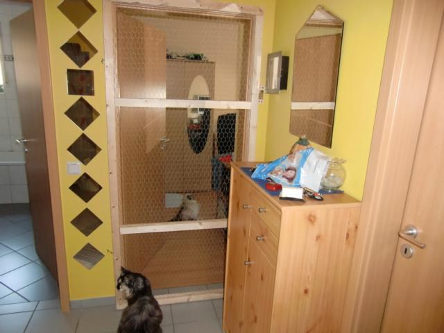 Gittertür Katzen Forum