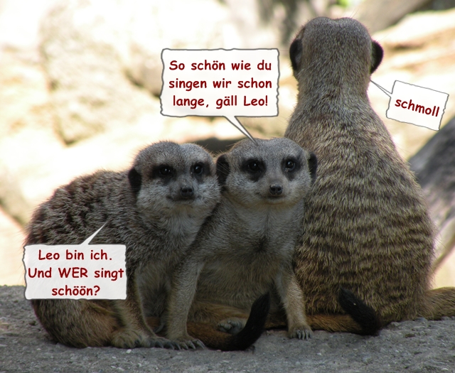 Geburtstagswünsche Für Omas