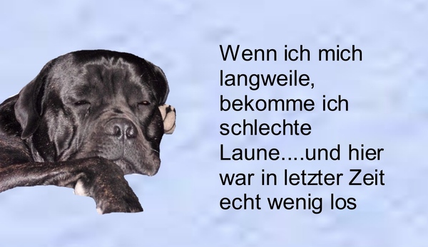Und wenn es doch Liebe ist?: Neues zur Hund-Mensch.