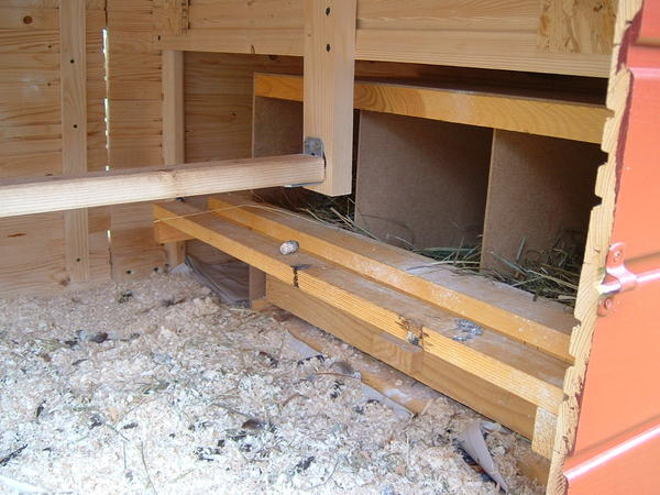 4 Kubik Hühnerhaus welche Abmessungen? Seite 2