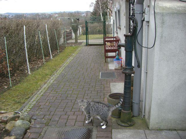 Elektrozaun für Katzen Tierhilfe Miezekatze e.V.