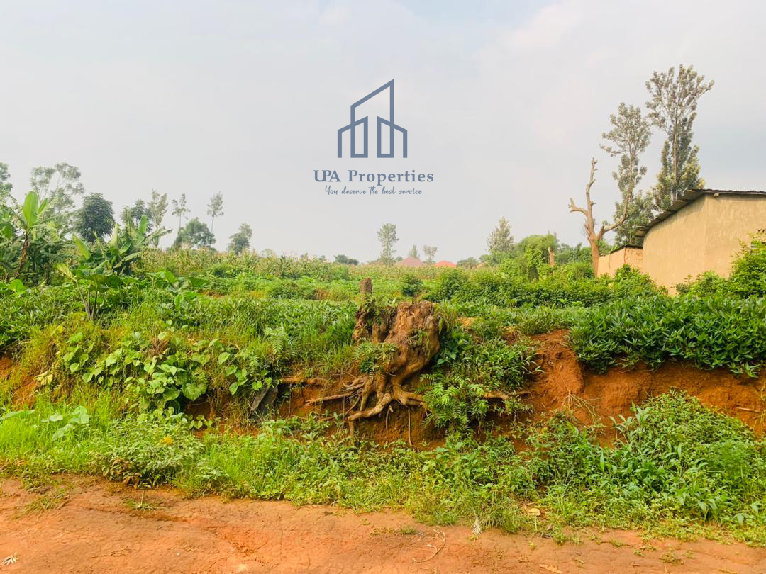 Home UPA Properties