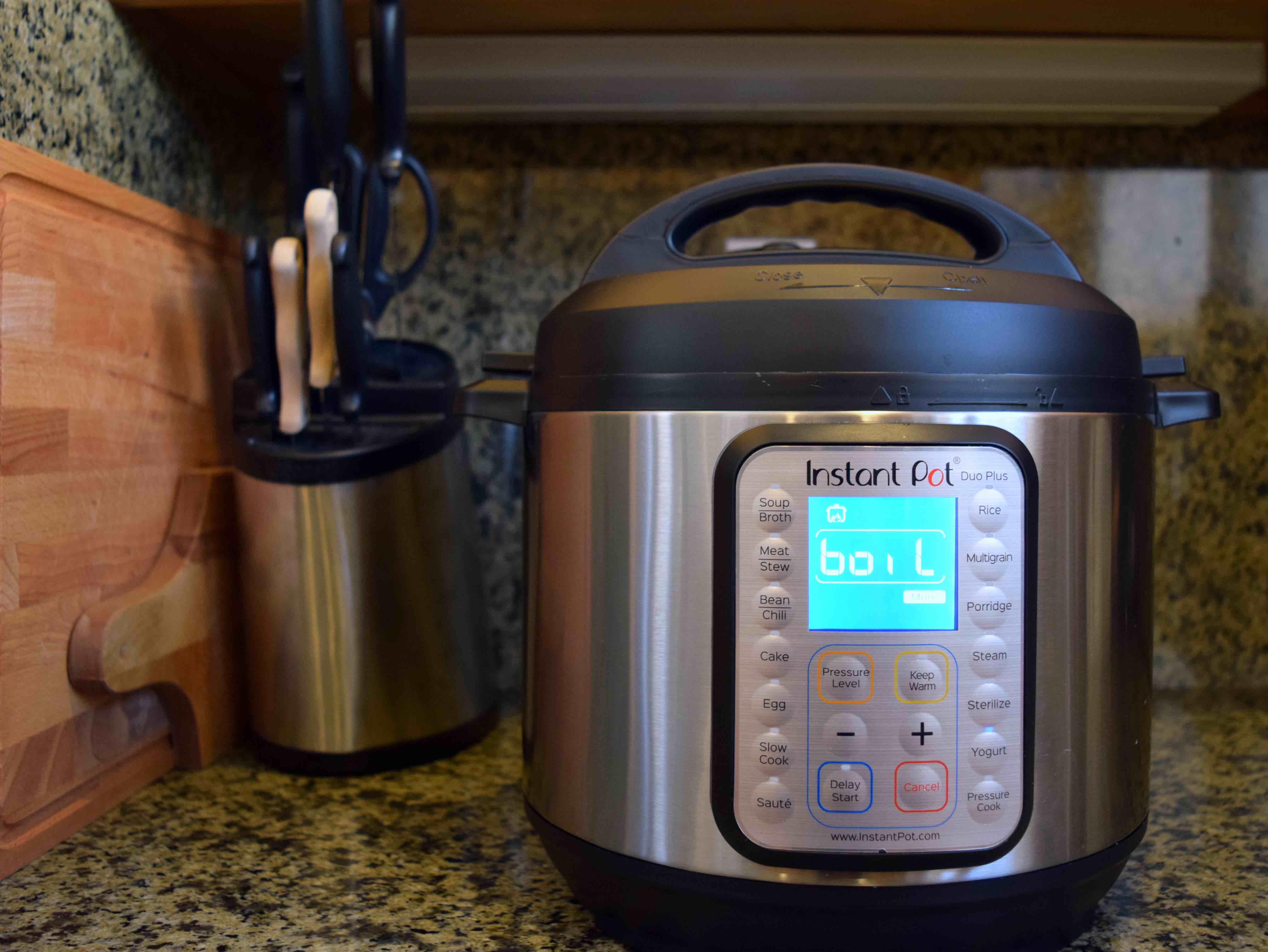 Homemade Instant Pot Ricotta Cheese Up As I Go