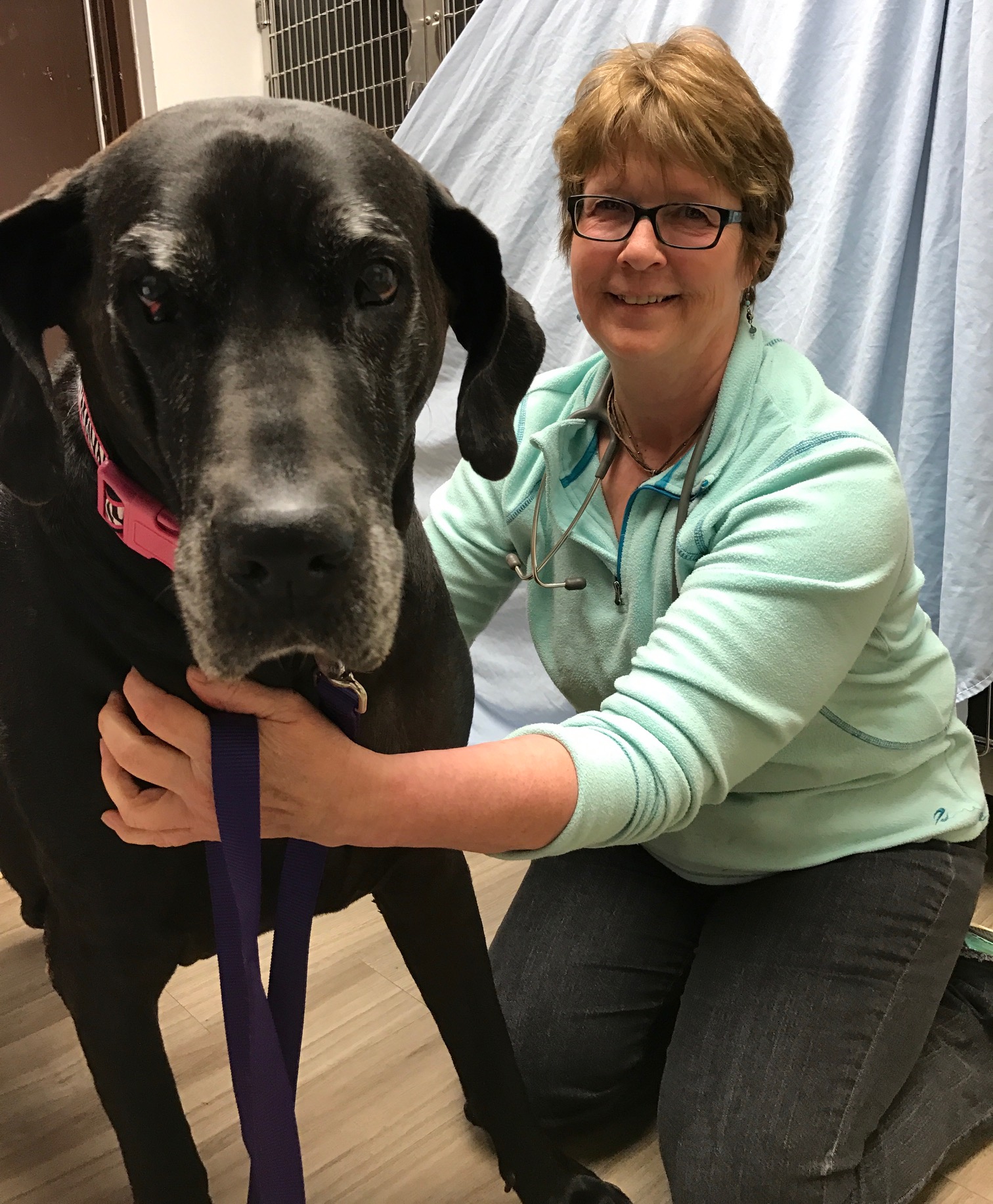 April Volunteer Vets for Homeless Pets Upper Peninsula Animal Welfare