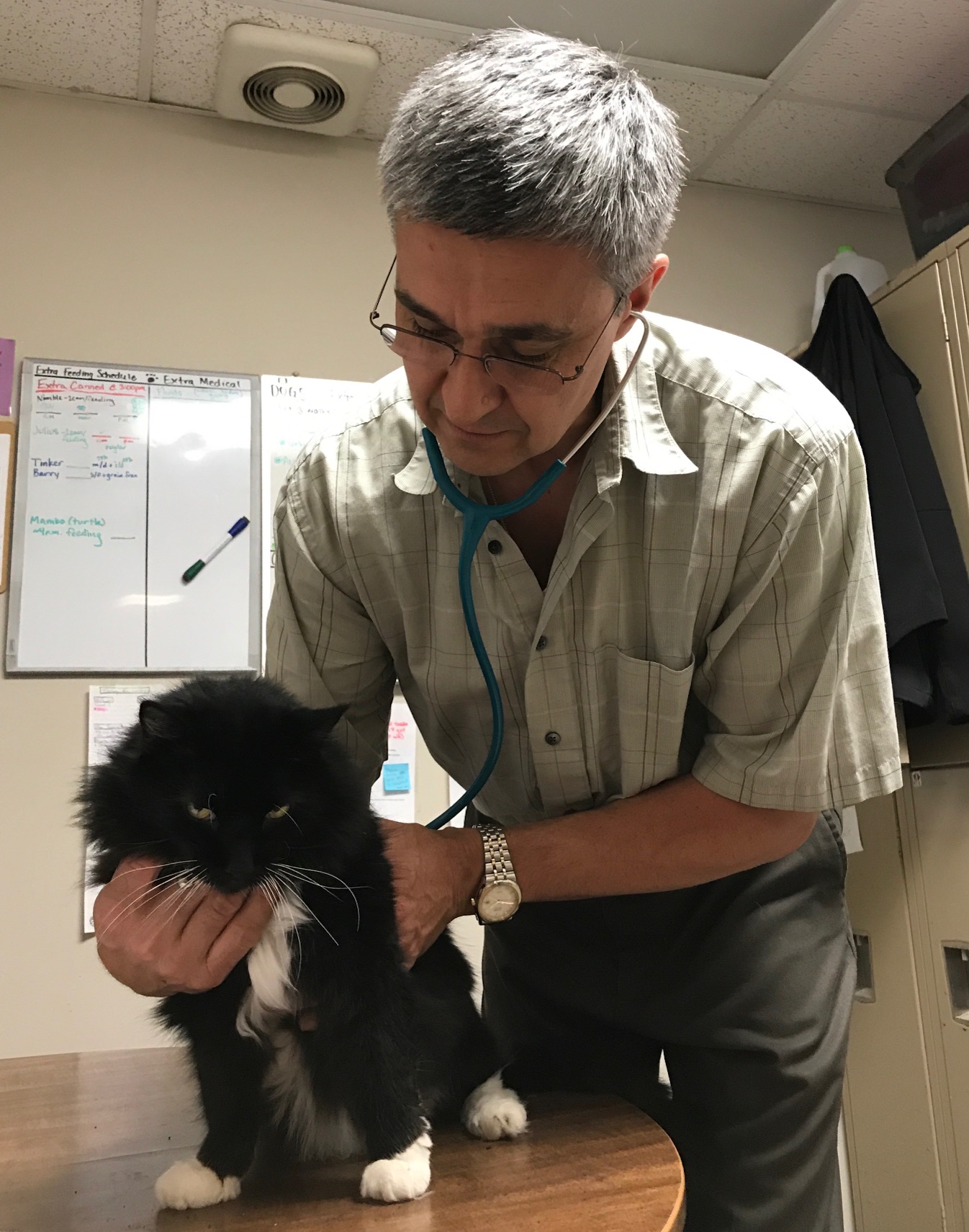 June Volunteer Vets for Homeless Pets Upper Peninsula Animal Welfare