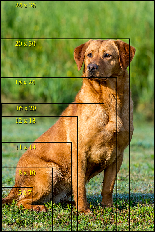 Print CROPPING Comparison Mark L Atwater Photography