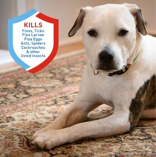 Adams Flea & Tick Carpet Powder 16 oz UPCO Pet Supplies