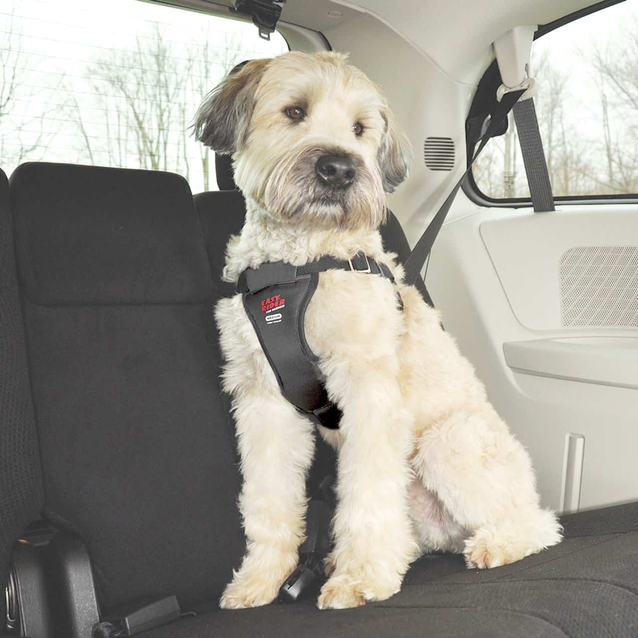 Easy Rider Car Harness for Dogs XLarge UPCO Pet Supplies