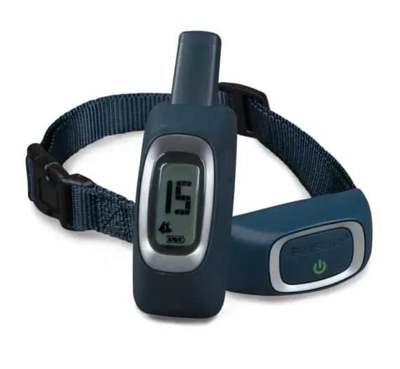 PetSafe 300 Yard Remote Trainer Receiver Dog Collar & Remote