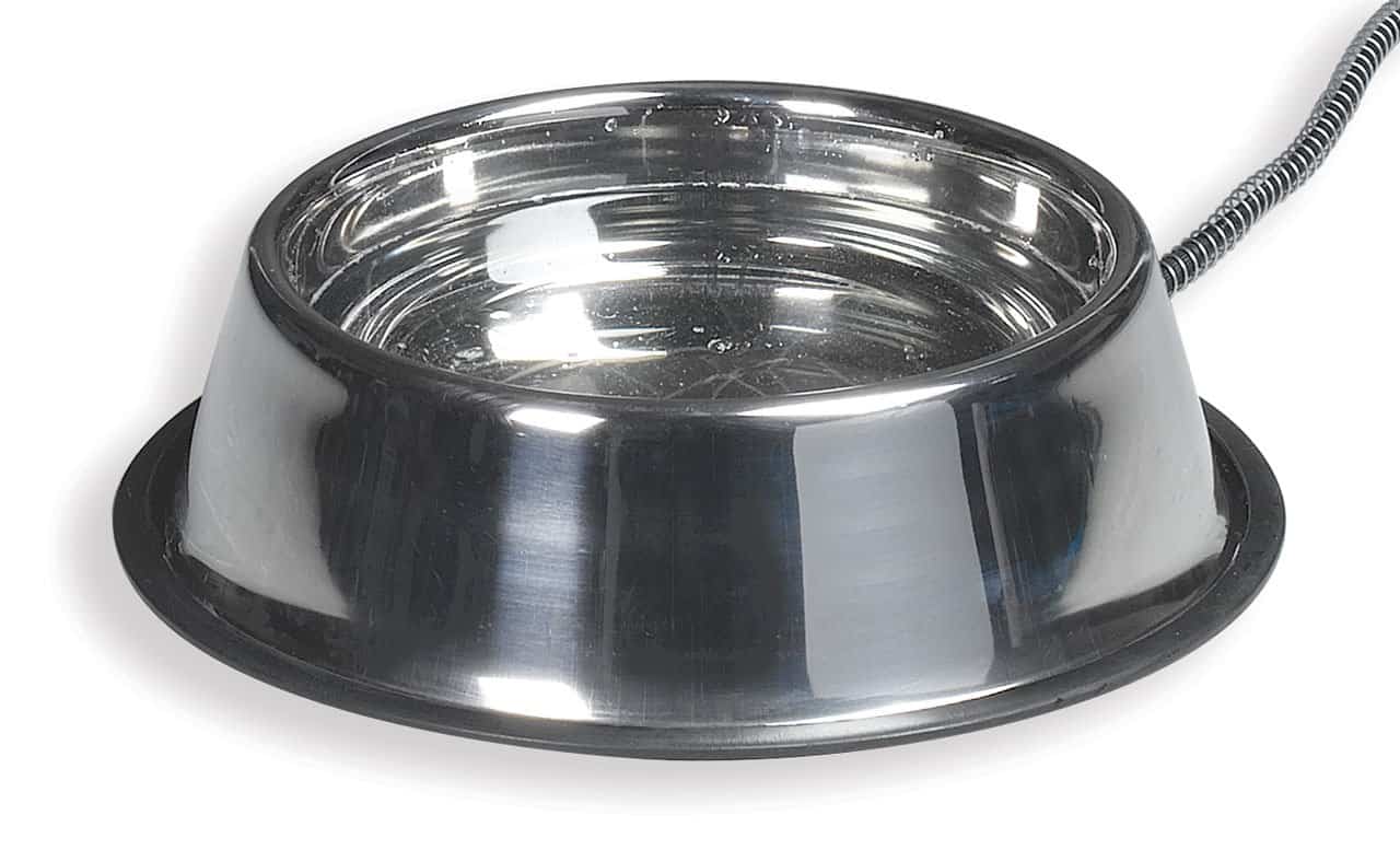 1.25 Gallon Stainless Steel Heated Water Bowl UPCO Pet Supplies