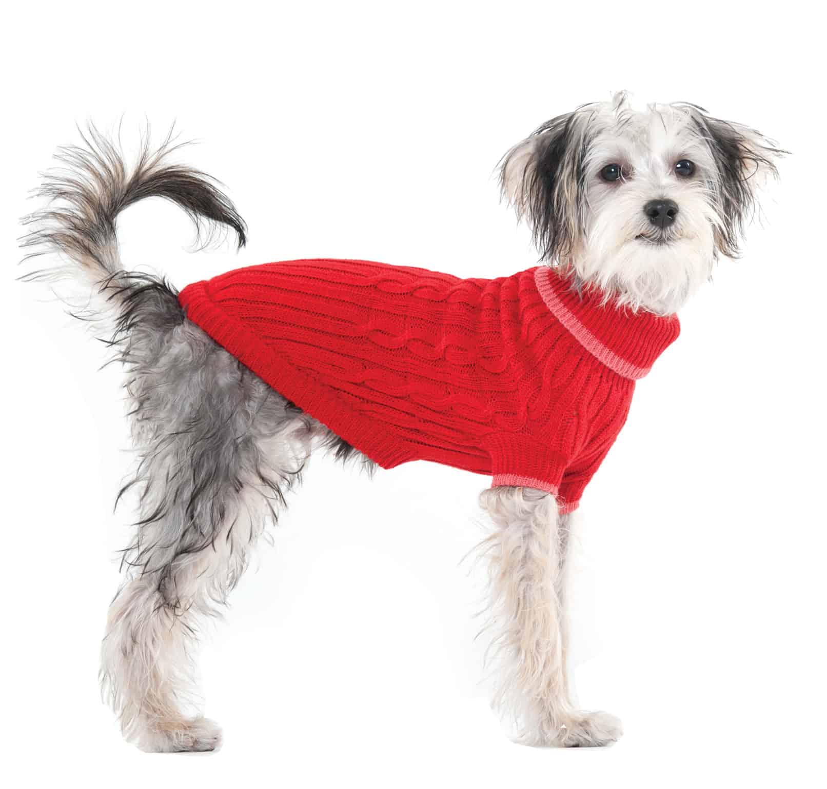 Classic Cable Dog Sweater Red, Blue or Pink UPCO