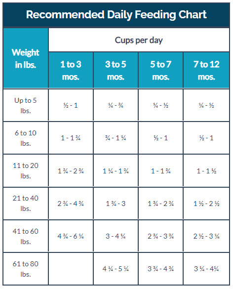 BLUE Buffalo Life Large Breed Puppy Dog Food 30 lb | UPCO