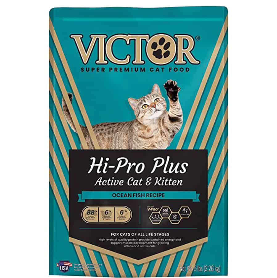 VICTOR HiPro Plus Active Cat & Kitten Dry Cat Food
