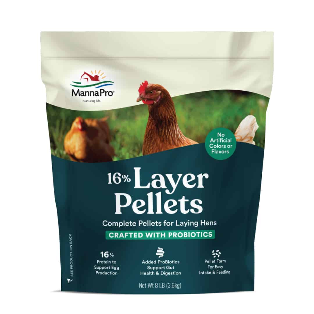 Layer Feed 16 Layer Pellets with ProBiotics 8 lb UPCO Pet Supplies