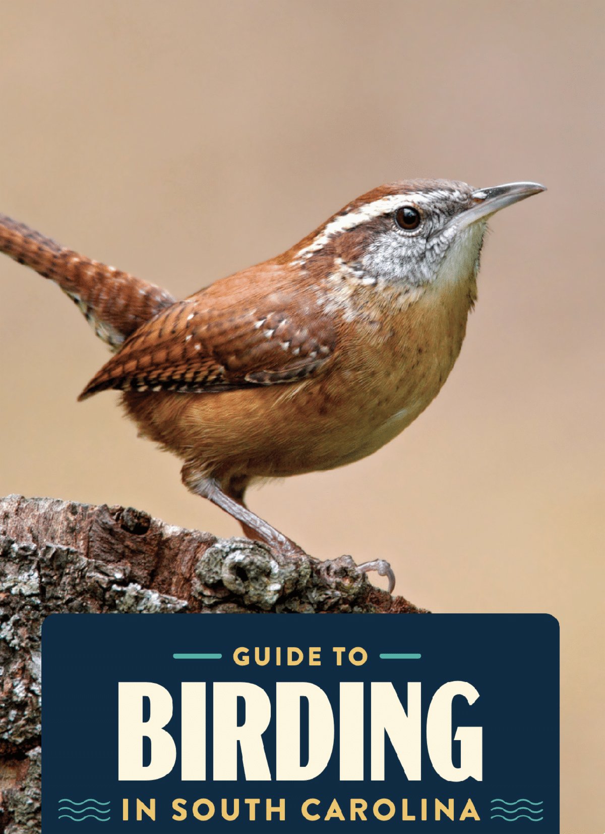 A New Guide To Birding in SC Upcountry South Carolina