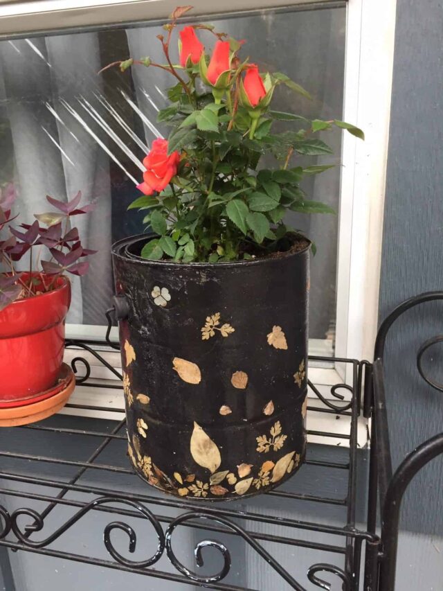 How to Upcycle Empty Paint Cans DIY Planter Story Upcycle My Stuff