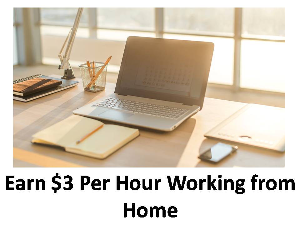 Earn 3 Per Hour Working from Home The free Guide