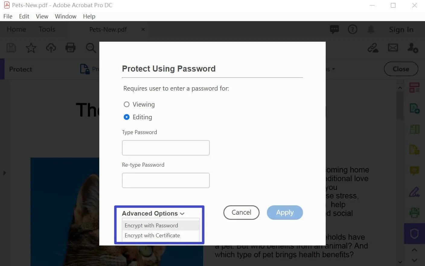 Learn How to Make Read PDF Only in 3 Quick Steps UPDF