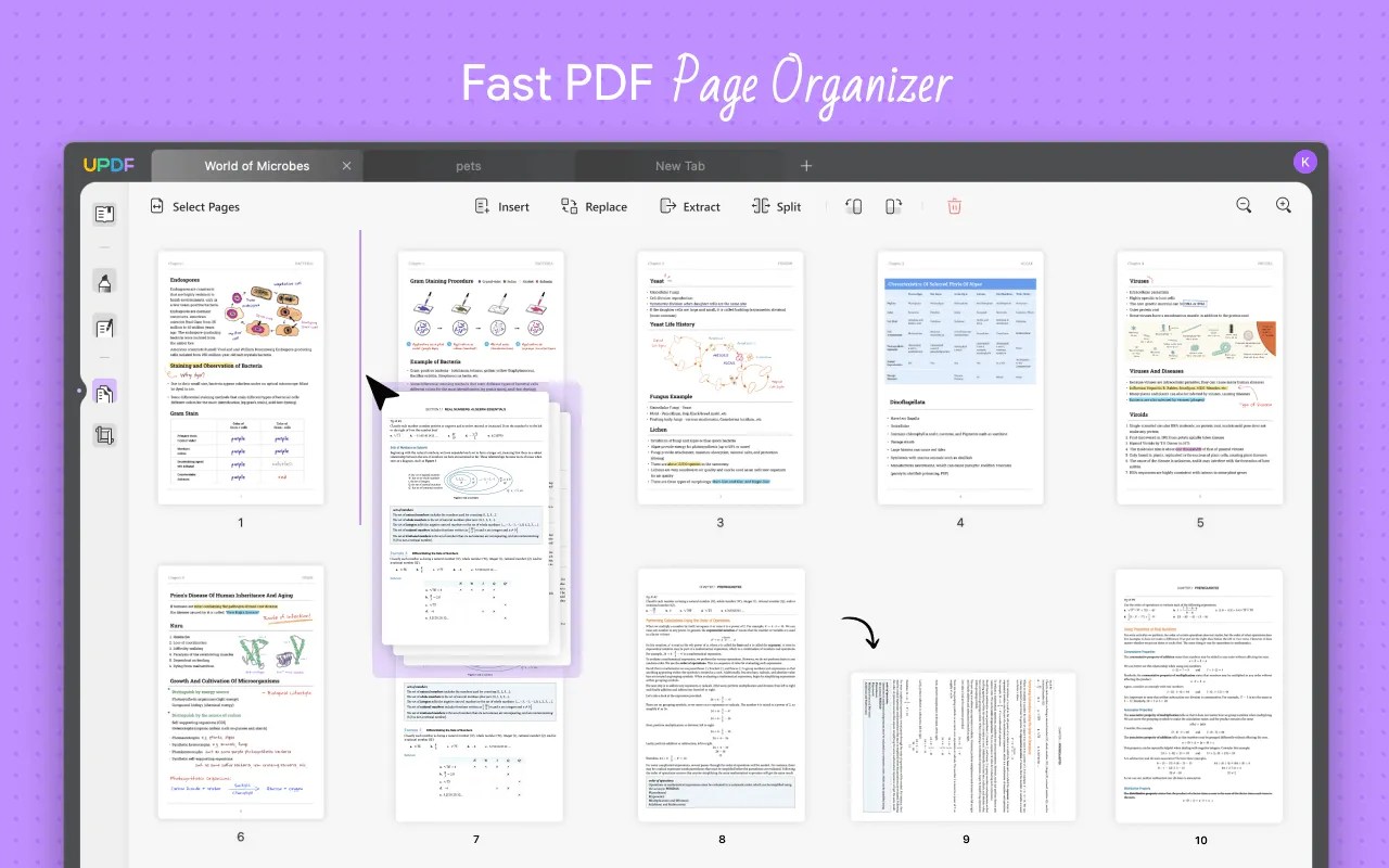 How to Rearrange Pages In PDF? 4 Simplest Methods UPDF
