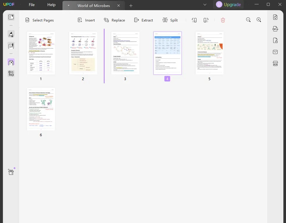How to Rearrange Pages In PDF? 4 Simplest Methods UPDF