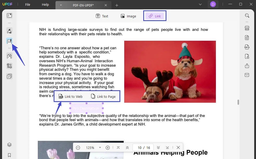 How to Create a Link for PDF? Best Methods UPDF