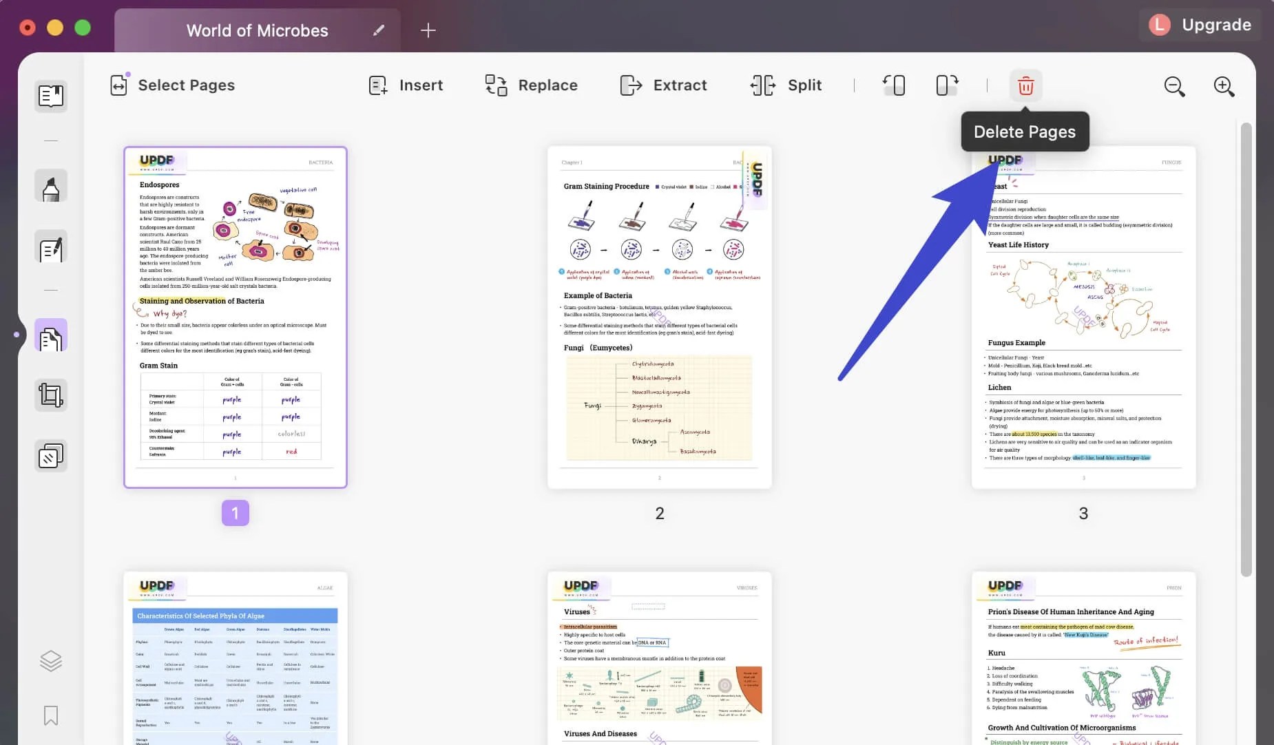 How to Delete Pages from PDF on Mac (3 Ways) UPDF