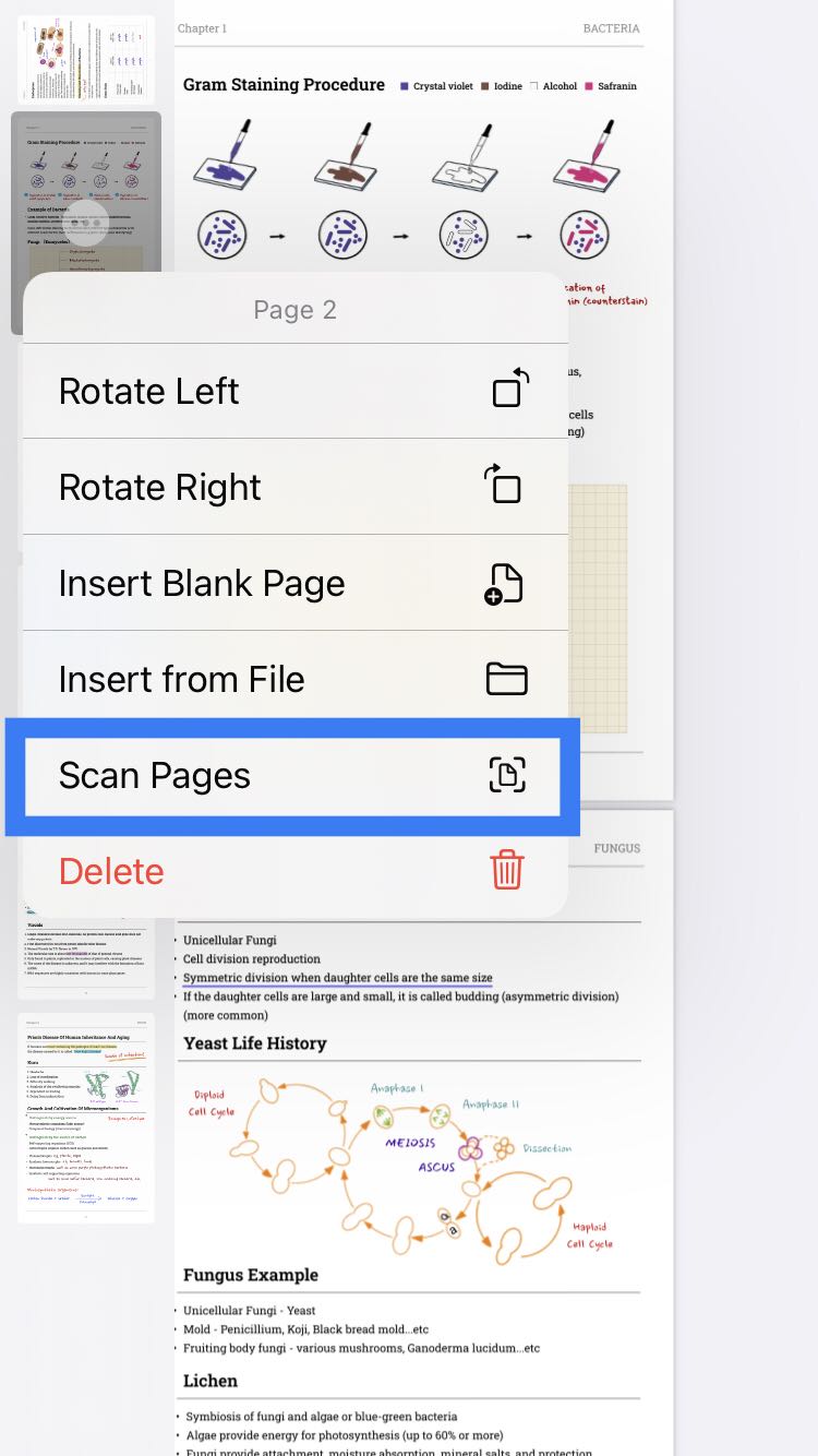 Organize Pages on iPhone and iPad with UPDF User Guide