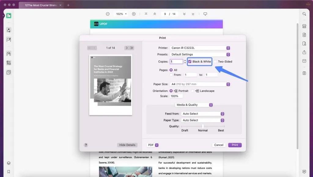 How to Print PDFs on Mac Two Quick and Free Solutions UPDF