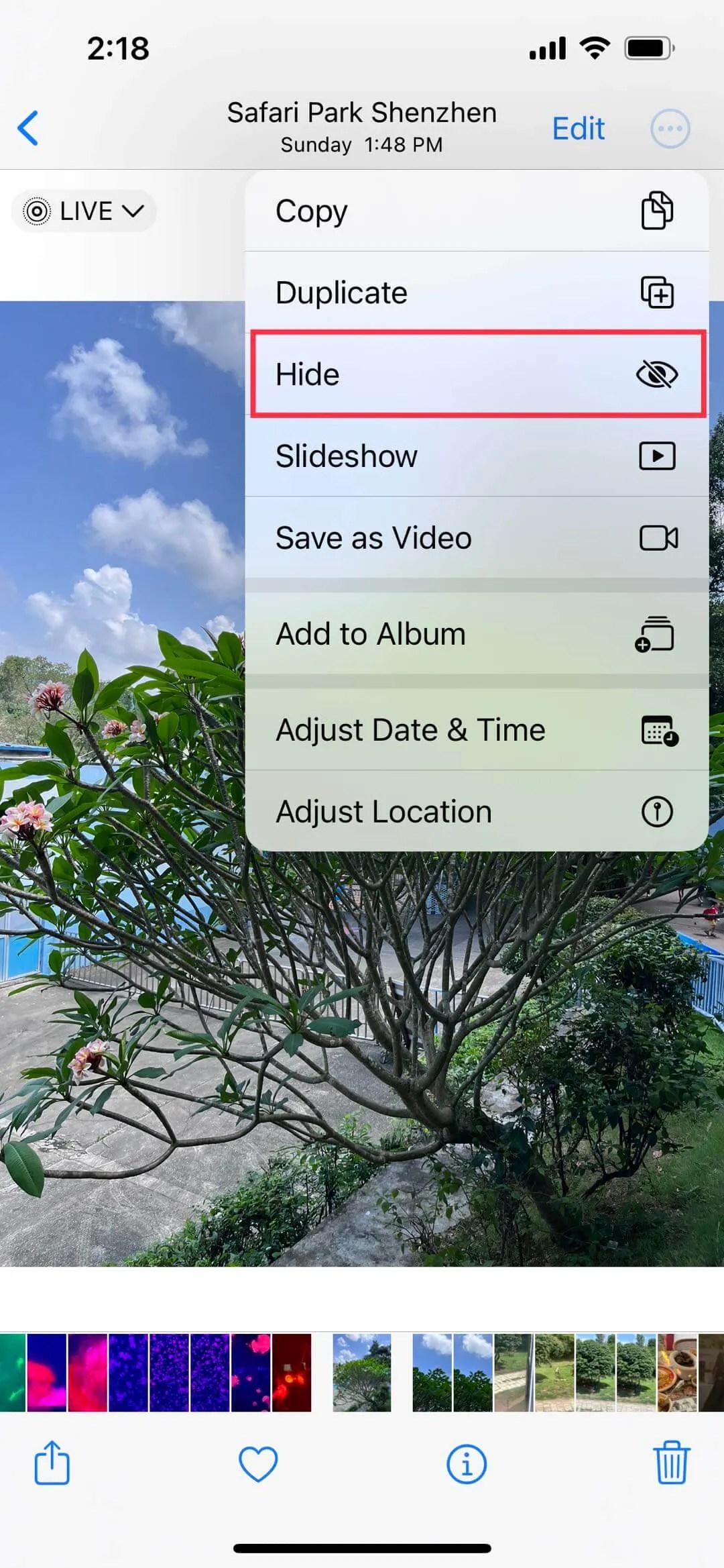 "How to Hide Photos on iPhone to Protect Your Privacy UPDF"
