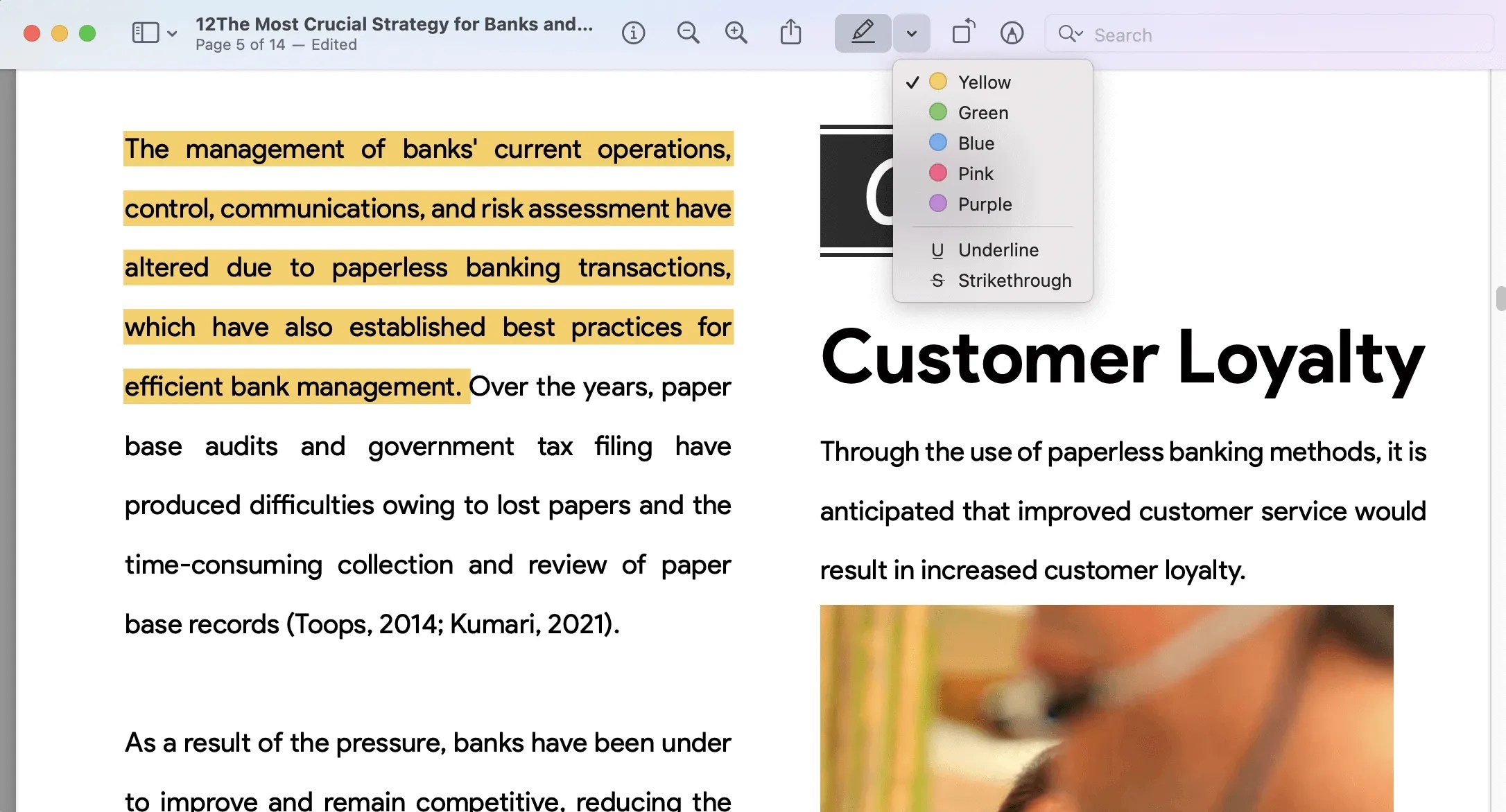 Top 5 PDF Highlighters Mac With Multiple Options UPDF