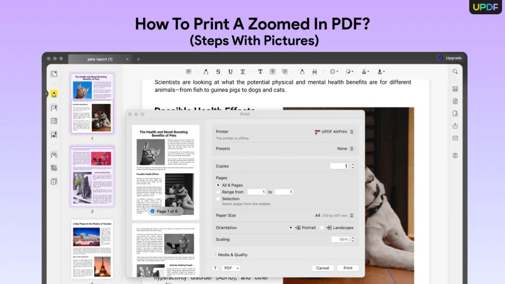 How to Print PDF Without Margins (Best 4 Methods) UPDF
